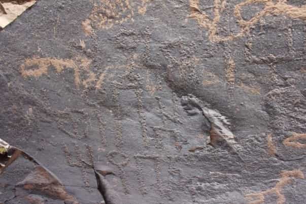 الشرعي ساقتين 4